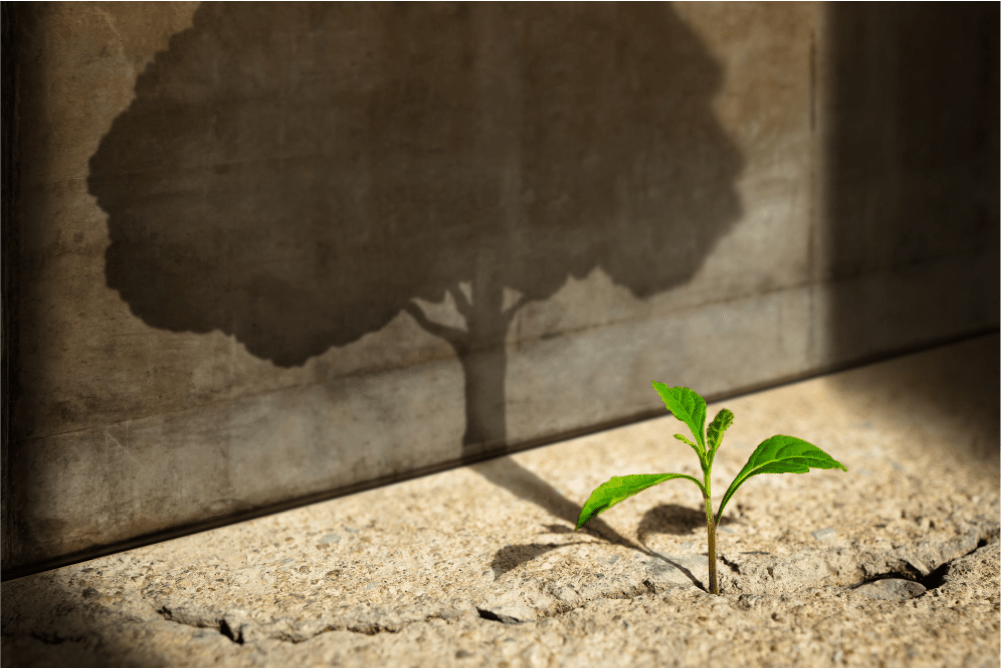 Escribieron para nosotros