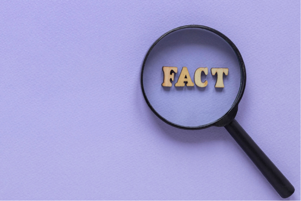 Escribieron para nosotros