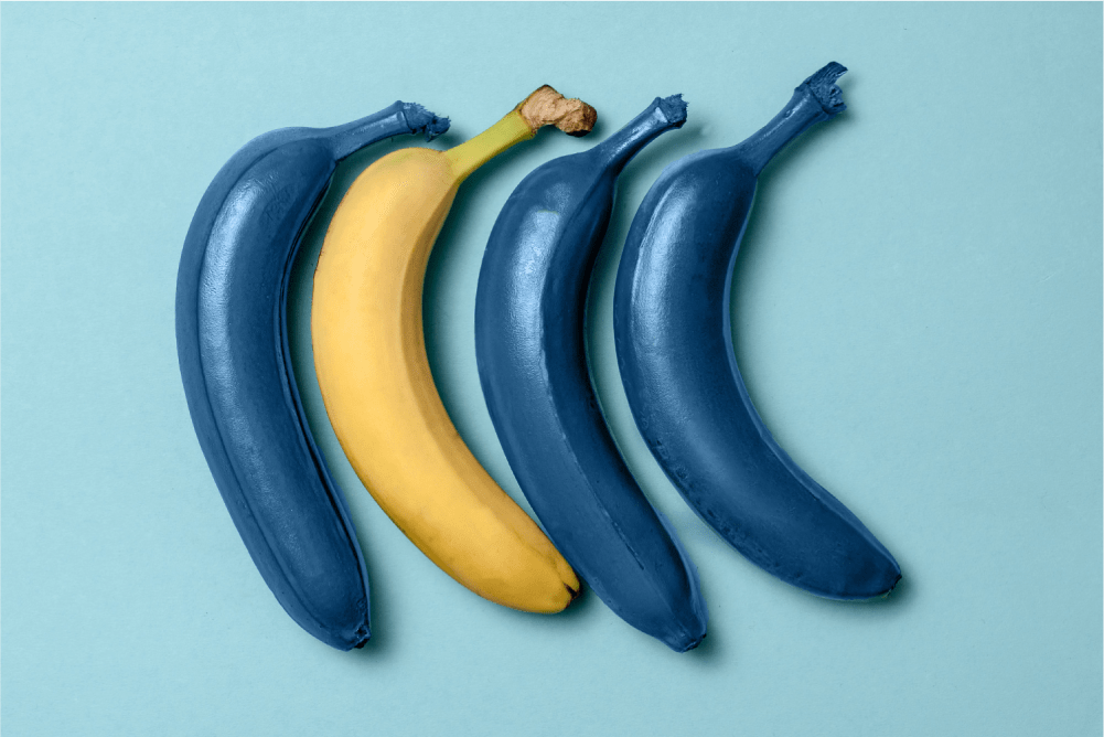 Creatividad + Escribieron para nosotros