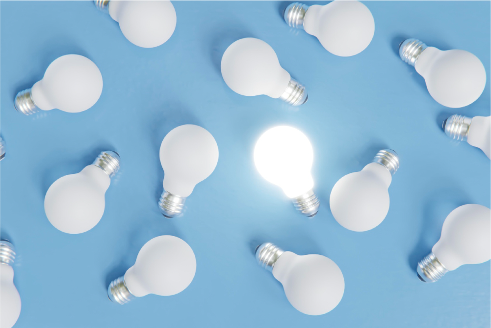 Escribieron para nosotros Salvador