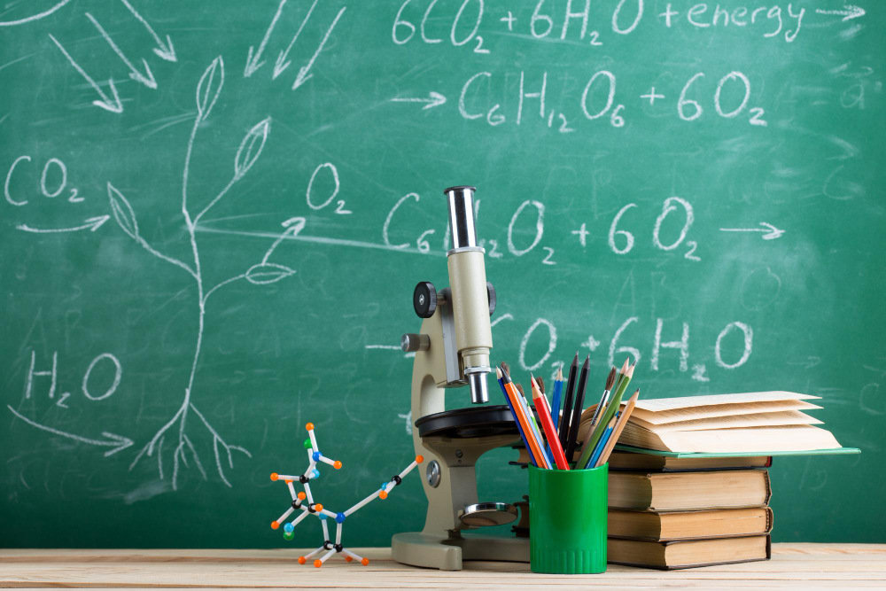 Entender + Respuesta Educativa y Altas Capacidades