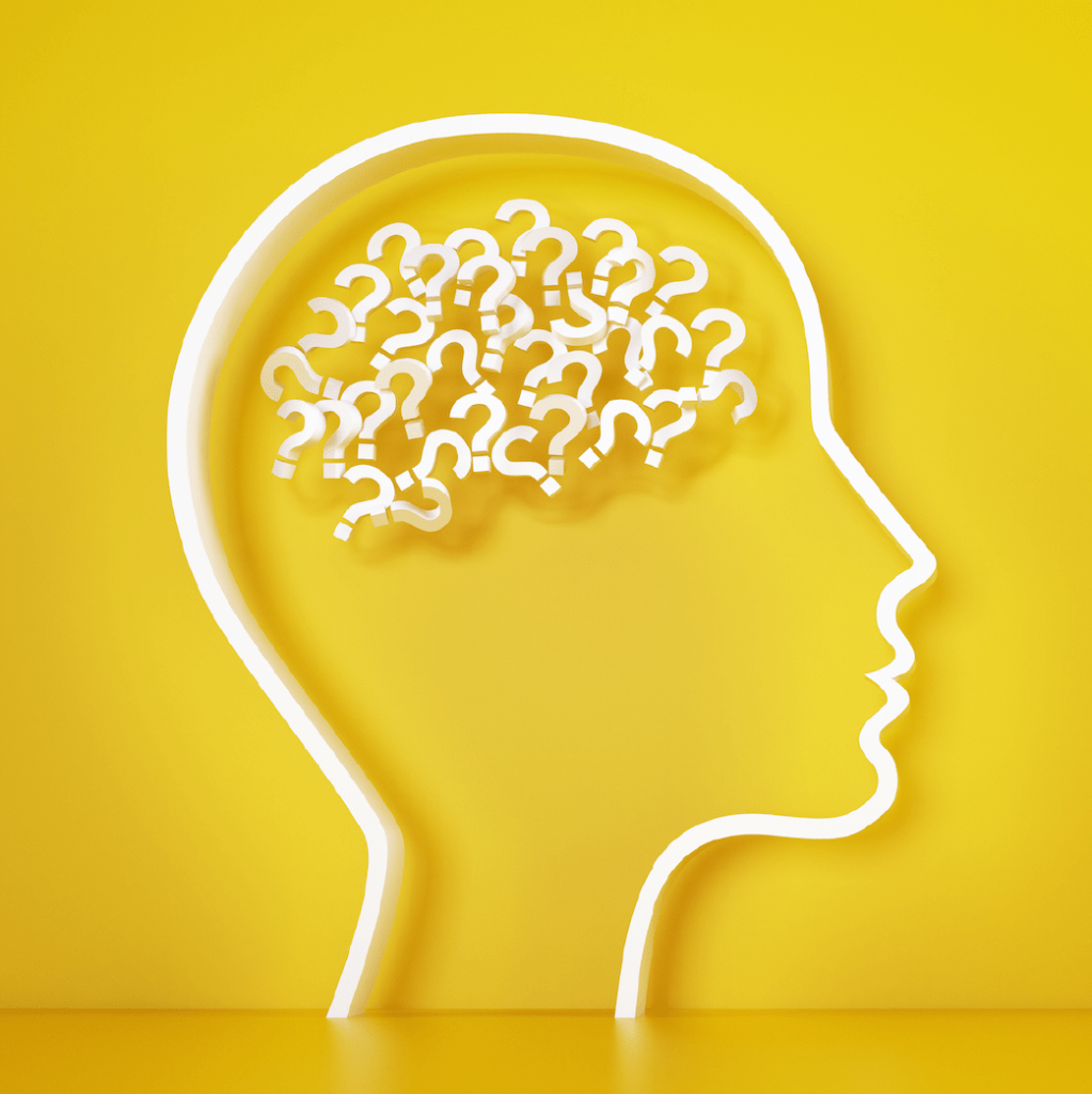 Formación Docente_Sección